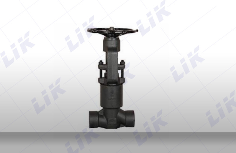 �M�����ܷ��ֹ�y